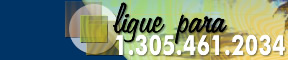 Ligue para 1.305.461.2034