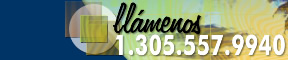 Llmenos 1.305.557.9940