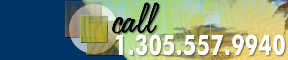 Call 1.305.461.2034